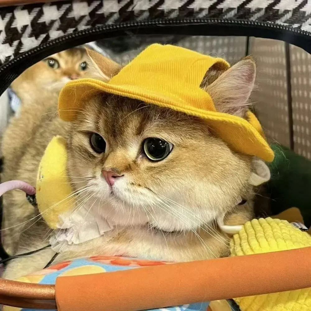 Pet Bucket Hat for Cats & Dogs Sun Protection Ear-Friendly  Adorable Summer